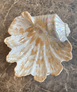 Vintage porcelain shell